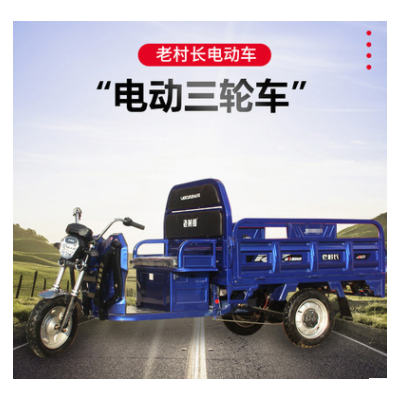 電動(dòng)三輪車(chē)載重貨運(yùn)農(nóng)用三輪車(chē)供應(yīng)家用接送孩子三輪代步車(chē)