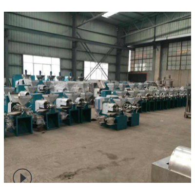 全自動(dòng)螺旋花生榨油機(jī) 菜籽葵花籽榨油機(jī) 創(chuàng)業(yè)多功能榨油機(jī)