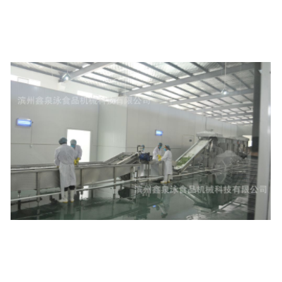 不銹鋼果蔬速凍前處理線 中央廚房蔬菜清洗機