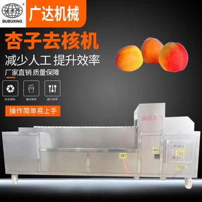 廠家直銷(xiāo) 不銹鋼杏子去核機(jī) 黃杏去核分瓣機(jī) 水果去核機(jī)械設(shè)備