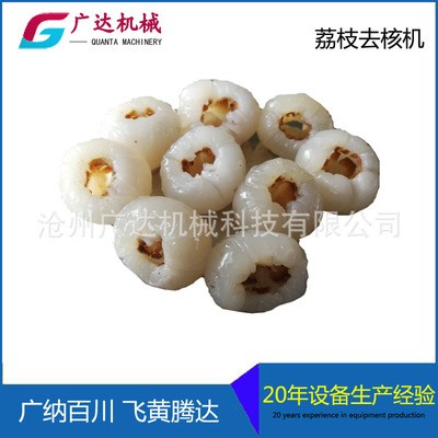 全自動(dòng)商用荔枝去核機(jī) 龍眼去核機(jī) 廠家直銷(xiāo)現(xiàn)貨
