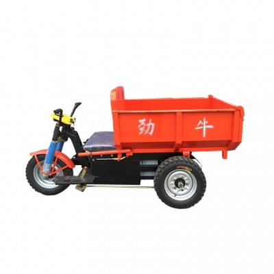 佛山三輪車廠家直銷電動三輪車 可定做直板三輪型 可樓頂運輸使用