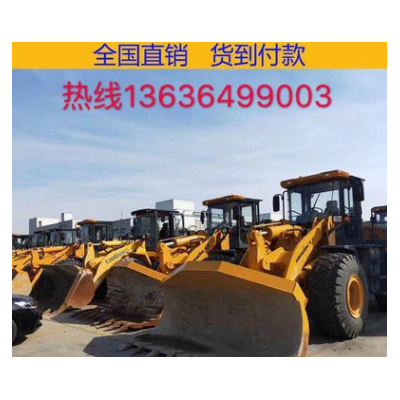 上海現(xiàn)場真品鏟車裝載機30/50裝載機，供應龍工臨工柳工