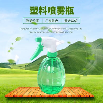 園藝澆花噴壺多肉植物瓜形噴水壺家用彩色手壓式噴霧瓶塑料灑水壺