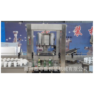 全自動灌裝機械設(shè)備 功能飲料灌裝機 12頭全自動灌裝機械W