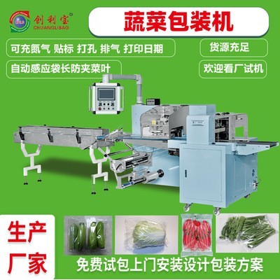 蔬菜包裝機往復式枕式全自動真空包裝機肉類果蔬食品包裝機械設備