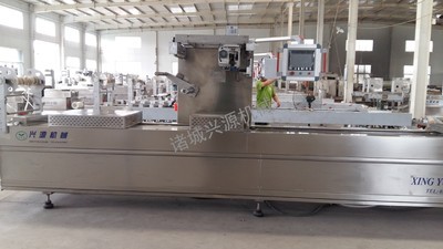 DZR-520全自動(dòng)連續(xù)熱成型真空包裝機(jī) 烤腸真空包裝機(jī)
