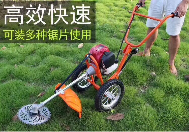 微信圖片_20180719105017