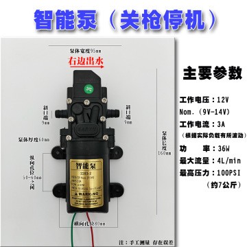 廠家直銷12V隔膜泵智能壓力泵3000轉高壓力電動噴霧器水泵20W40W