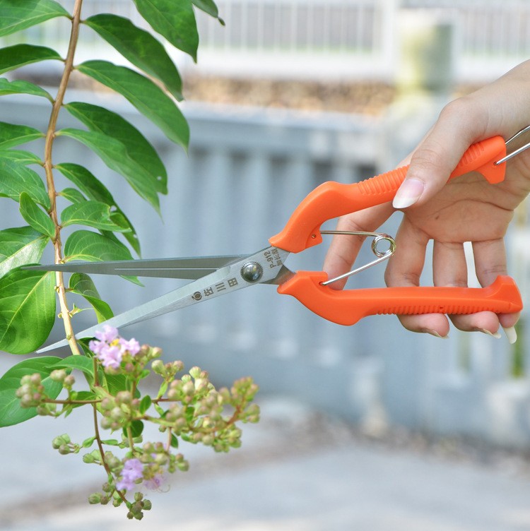 園林修枝剪佐川田剪加長(zhǎng)采果剪 245mm黑枸杞花椒花摘果剪剪刀園藝