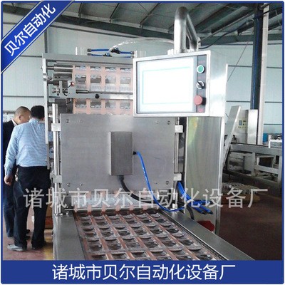 廠家直銷 食品機(jī)械 全自動真空包裝機(jī) 全自動拉伸膜真空包裝機(jī)
