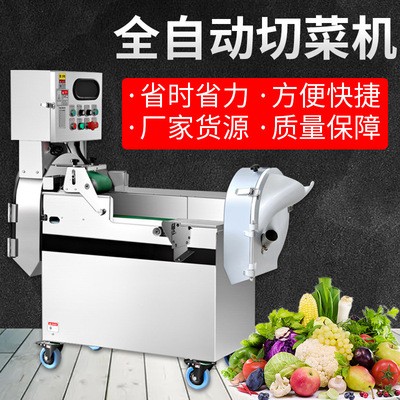 801型雙頭多功能切菜機食堂酒店全自動大型商用切絲切片切丁機器