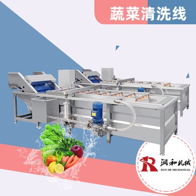 蔬菜清洗機 氣泡式芹菜去泥清洗線 全不銹鋼自動果蔬清洗機