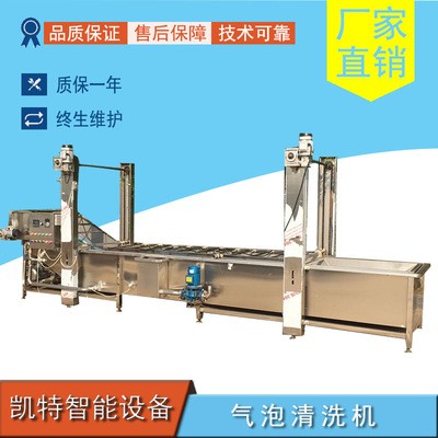 艾草清洗機葡萄干清洗機蘿卜加工全套設(shè)備廠家銷售支持定制