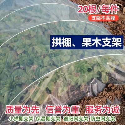 蔬菜棚支架保溫棚花棚小拱棚拱桿農用園藝大棚骨架農業玻璃鋼拱竿