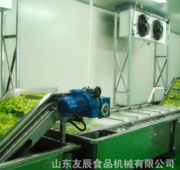 草菇蘑菇清洗機 油菜西藍花渦流清洗機 茄子凈菜深加工清洗加工廠