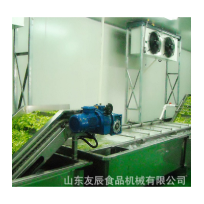 草菇蘑菇清洗機 油菜西藍花渦流清洗機 茄子凈菜深加工清洗加工廠