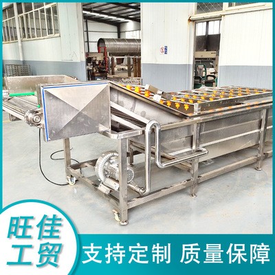 廠家供應 韭菜氣泡清洗機 白菜去泡清洗流水線 不銹鋼清洗設備