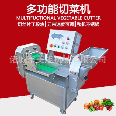 變頻調(diào)速雙頭切菜機 香菇切丁機 萵筍切絲切片機 蒜苗韭菜切段機