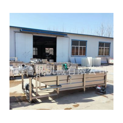 商用果蔬清洗機 氣泡高壓噴淋清洗機 百合清洗設備