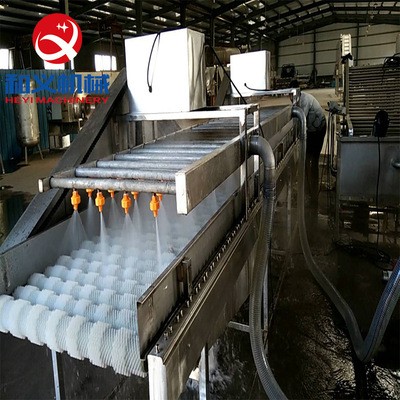 廠家生產貝殼類清洗機 連續(xù)式牡蠣清洗設備 不銹鋼海蠣子清洗機