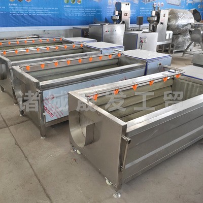 胡蘿卜毛刷清洗機 連續式土豆去皮拋光機 速凍薯條生產流水線