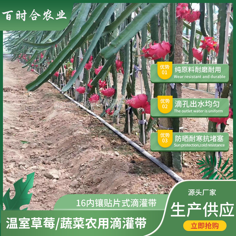 內鑲貼片式滴灌帶規格山東百時合農業科技有限公司