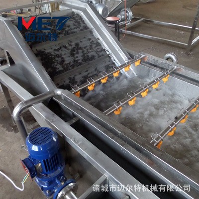 香菇氣泡清洗機 新鮮木耳清洗加工生產線 商用茶葉清洗加工機器