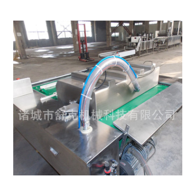 廠家直銷批發(fā)真空包裝機 食品雙室真空包裝機 大米真空包裝封口機