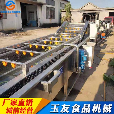 果蔬清洗機 淋噴式辣椒氣泡清洗機設備 全自動果蔬清洗機