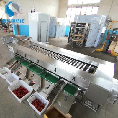 番茄滾杠分級(jí)機(jī) 滾杠式芋頭選果機(jī) 土豆重量分選機(jī)價(jià)格 廠家供應(yīng)