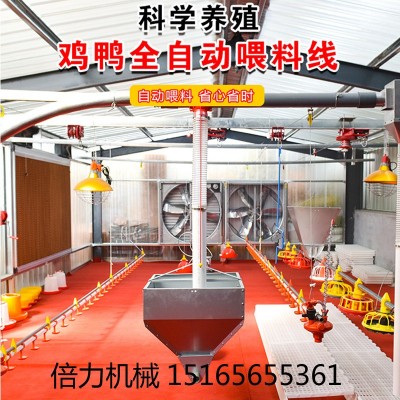 畜牧養殖設備雞自動料線水線喂食器飲水器自動上料機山東料線廠家
