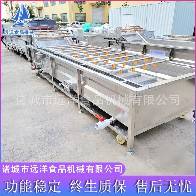 果蔬清洗機 多功能藍莓葡萄清洗機 噴淋氣泡水果蔬菜清洗流水線