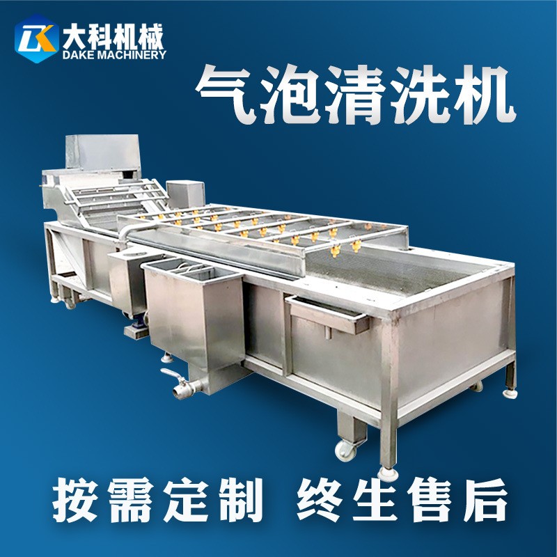 廠家供應果蔬氣泡清洗機水果高壓噴淋清洗設備商用海鮮蔬菜清洗機