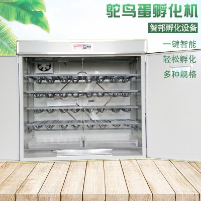 定制全自動(dòng)智能鴕鳥(niǎo)種蛋孵化機(jī)器鴯鹋孵化箱孵化器孵蛋器