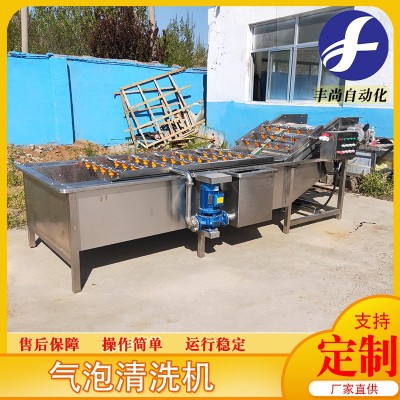 小龍蝦圣女果高壓氣泡清洗 小油菜果蔬清洗機 凈菜清洗流水線設(shè)備