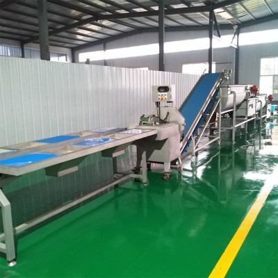 挑選臺 分揀輸送機304不銹鋼果蔬凈菜帶式分揀臺六工位挑選臺