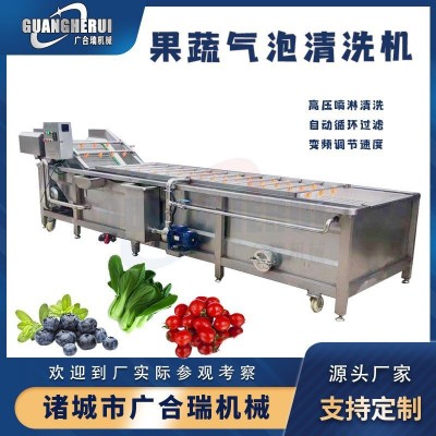 果蔬氣泡清洗機(jī) 大姜白菜毛豆蔬菜高壓噴淋清洗設(shè)備 全自動洗菜機(jī)