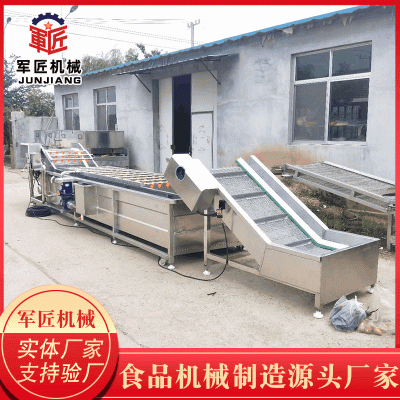 全自動(dòng)大型果蔬氣泡清洗機(jī) 萵筍高壓噴淋果蔬清洗機(jī) 蕓豆清洗設(shè)備