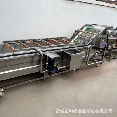 氣泡清洗機(jī) 不銹鋼高壓噴淋果蔬清洗機(jī) 商用玉米海參氣泡清洗機(jī)