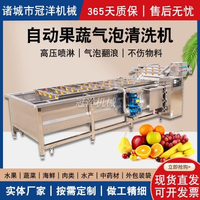 大型水果蔬菜清洗機(jī) 腌黃瓜醬菜脫鹽清洗去雜設(shè)備 凈菜加工流水線(xiàn)