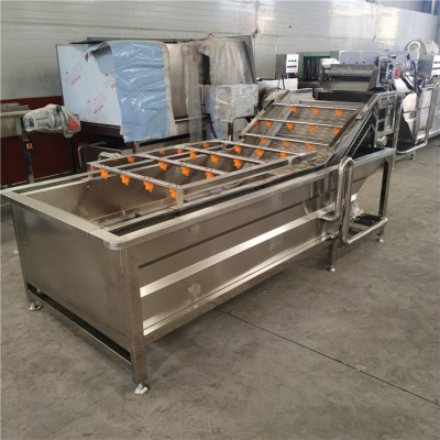 小金桔氣泡清洗機(jī) 洗水果機(jī) 高壓噴淋金棗子水浴式清洗機(jī)