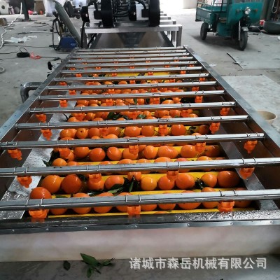 廠家全自動水果清洗打蠟機拋光機 橘子沃柑洗果機