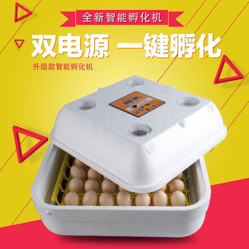 伊科貝特42枚孵化機(jī) 小型孵化機(jī) 家庭微型孵化器 孵化箱 出口產(chǎn)品
