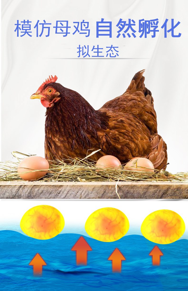 水床孵化機(jī)_03_副本