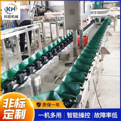 山東廠家科宏 水果分選機料盒款 柑橘番石榴桃子自動稱重選果機