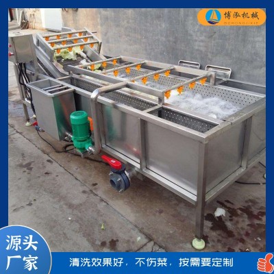 多功能不銹鋼氣泡清洗機 果蔬清洗設(shè)備 白菜胡蘿卜高壓噴淋清洗機