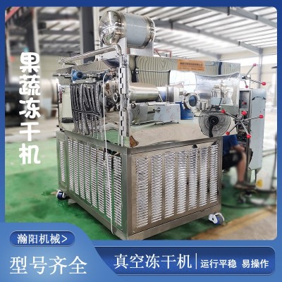 冷凍真空干燥機玫瑰花凍干設備果蔬真空干燥機機真空凍干機冷干機