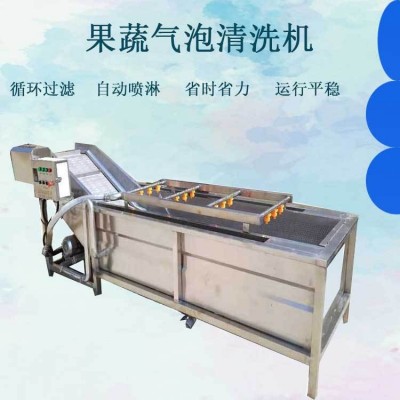 全自動果蔬清洗機 噴淋式蘋果氣泡清洗流水線 白菜西紅柿清洗機設(shè)
