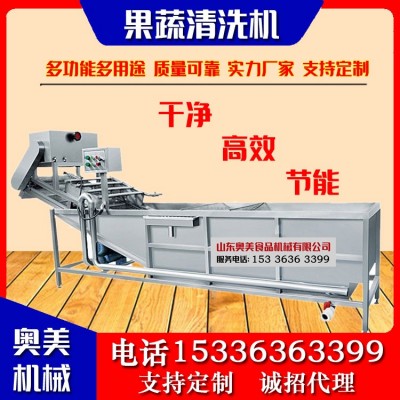 不銹鋼果蔬清洗機(jī) 蔬菜氣泡清洗機(jī) 水果蔬菜清洗加工設(shè)備廠家